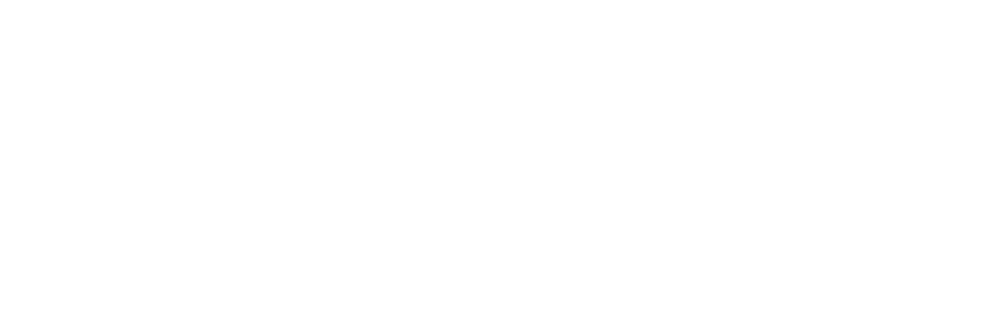 Flooring-Partners_FINAL_horizontal_white-01